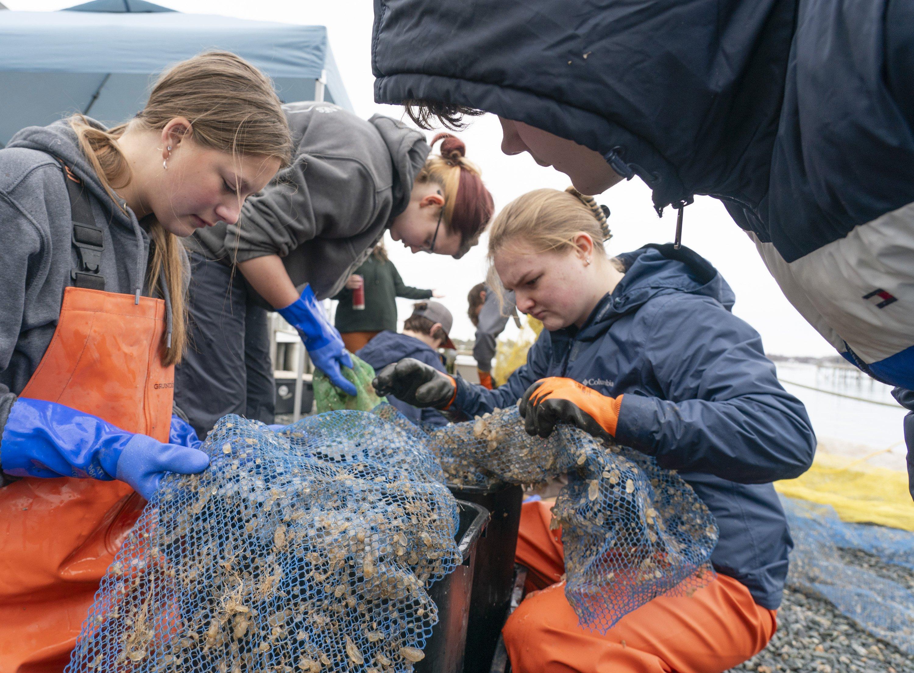 Maine researchers, students are sorting through muck and slugs to ...